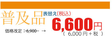 中国産普及品・張替え1畳6,600円