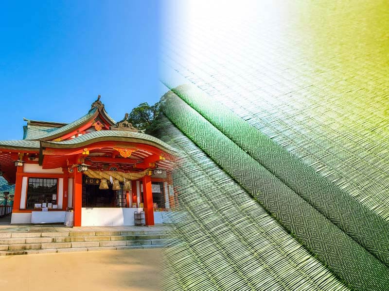 神社に畳を奉納した話2024