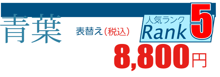 熊本産「青葉」張替え1畳7,700円
